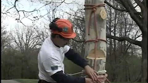 Clove Hitch and Marline Hitch