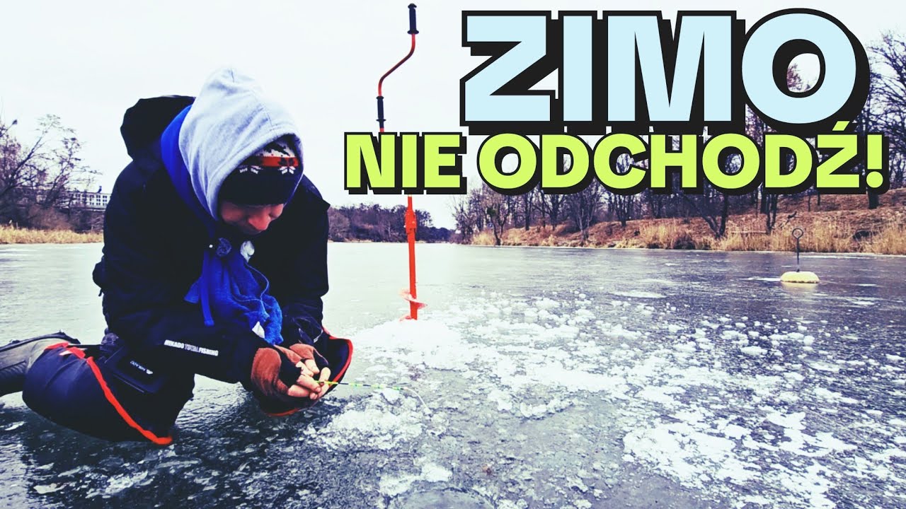 649 LEPSZE NIŻ FEEDER !!! BAŁAŁAJKA NA GOSŁAWICACH I POLICJI