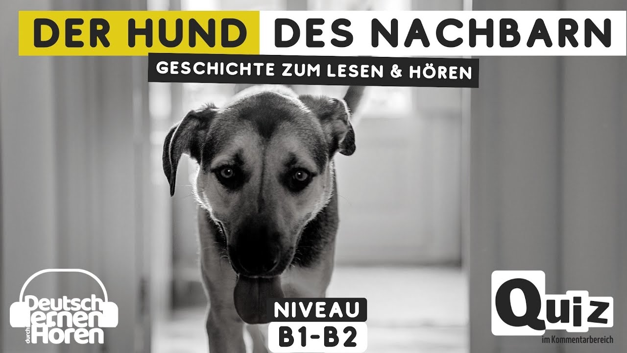 Wann begann der Weg vom Wolf zum Hund?  | ARTE Family