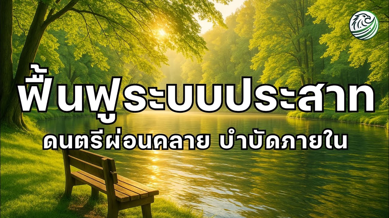 เพลงผ่อนคลาย เพลงฟื้นฟูระบบประสาท  คลายความตึงของร่างกาย ดนตรีบำบัดระบบประสาท ดนตรีผ่อนคลายสมอง