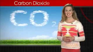 CO2 INGLES screenshot 4