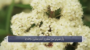 روزه در قرآن - آيه 183 تا 185 سوره بقره
