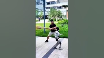 Serious Robot Abuse: Noetix N2 #robot #humanoid