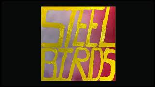 Slow Pulp - Steel Birds chords