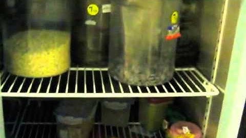 Tủ đông inox BERJAYA 4 cánh