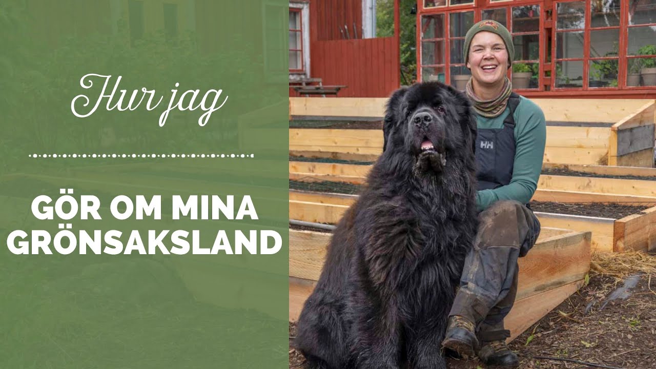 Hur jag gör om mina grönsaksland i Skillnadens Trädgård.