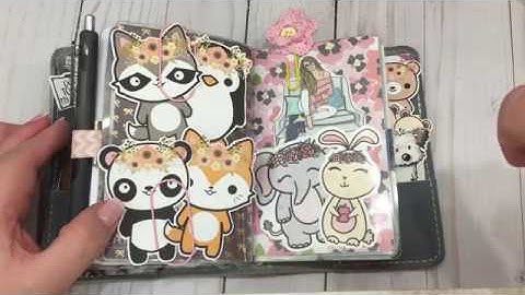 Foxy Fix Pocket Flip Through