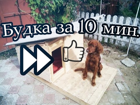 Будка для собаки за 10 мин своими руками. Build a doghouse in 10 minutes