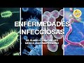 ENFERMEDADES INFECCIOSAS - Dr. Elmer H. Luna Vilchez