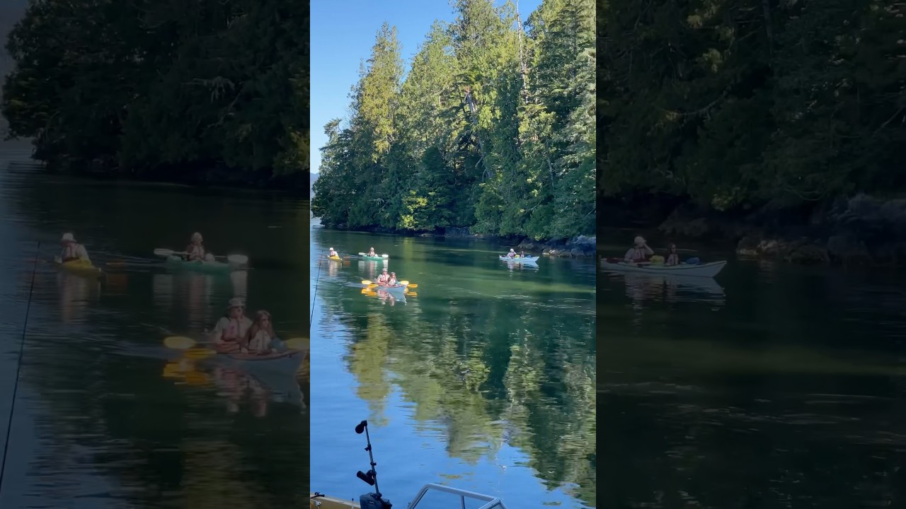Meares Island🏝️ #shorts #short #youtubeshorts #ytshorts #kayak #island #ytshort #viralshorts #yt