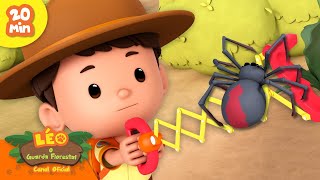 🪲🐞 MELHORES AVENTURAS COM INSETOS! 🕷️🐛 Aranhas Venenosas e muito mais!| Leo, O Guarda Florestal