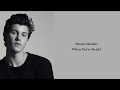 Shawn Mendes - When You&#39;re Ready (lyrics)