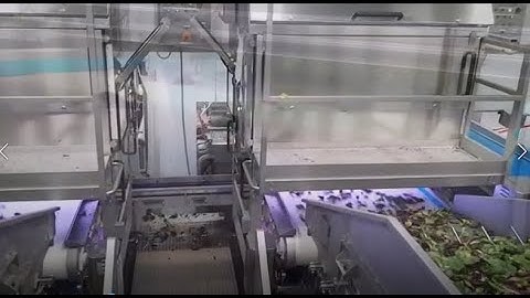 Spray: optical sorting machine for fresh-cut salad  | RAYTEC VISION SpA
