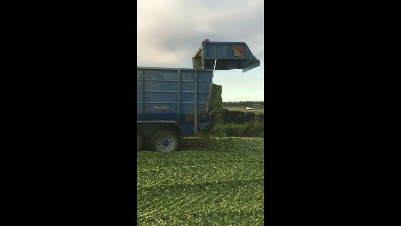 McIntosh Chaser Wagon