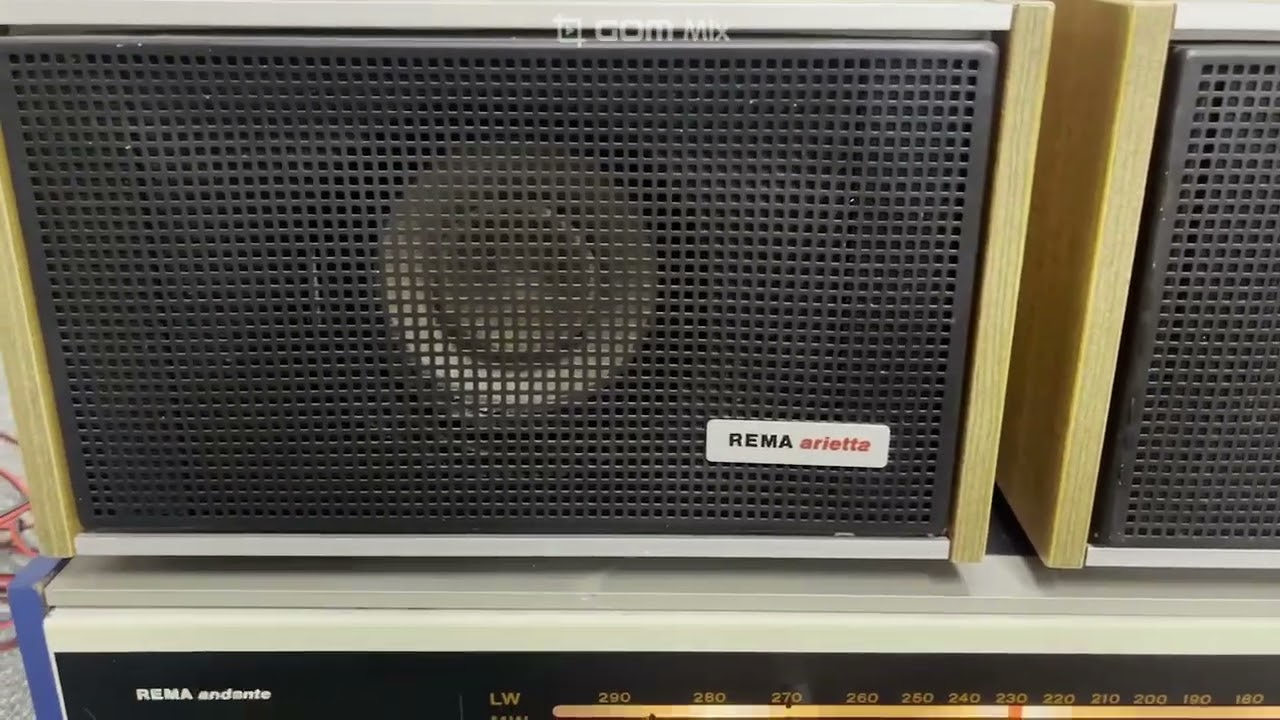 RFT REMA ADAGIO 830 （ANDANTE 830） ペア 2wayスピーカー ジャーマン 