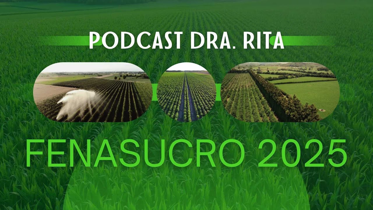 Podcast Dra. Rita Ao Vivo na Fenasucro 2025 – Entrevistas e Novidades Exclusivas - Paulo Montobone