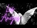 Les anges 