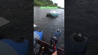 на реке Преголя #рыбалка #fishing