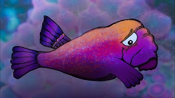 Worried Tropical Fish - Procreate illustration video