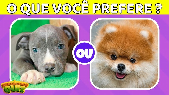 Quiz do Gatinho - Jogo Gratuito Online