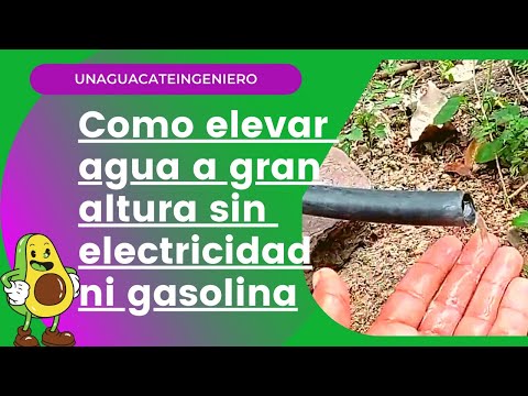 Video: Entendimiento básico. ¿Cómo es la casa?