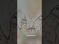 Ancient Goddesses, Rock Art, and Ancient Alien Mysteries #freemoviesonyoutube