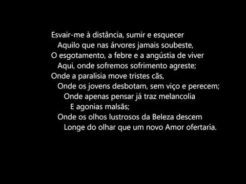 John Keats - Ode a um Rouxinol (trad.: C. Leonardo B. Antunes)