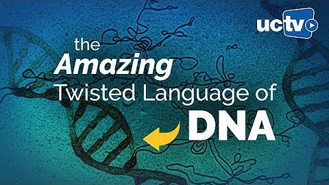 Genes Communicate Through Twisting: The Story of Supercoiling in DNA