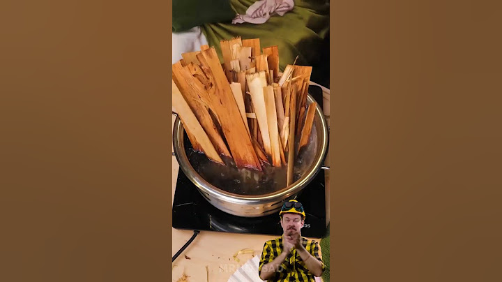 Butch reacts to a unique technique for creating leather from wild cacti!