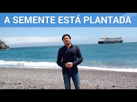 A Semente está Plantada | Renato Willi