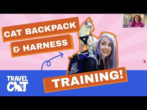 TIPS for Harness and Backpack TRAINING CATS | Travel Cat Summit 2023