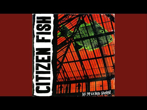 Citizen Fish - Paint