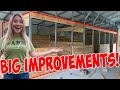 MORE HORSE STALL PROGRESS | BUILDING MY DREAM HORSE BARN PART 5!