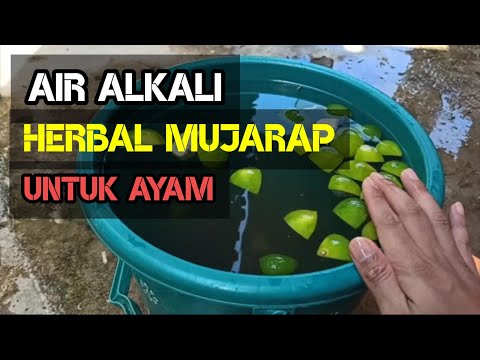 Video: Bagaimana alkali dibuat?