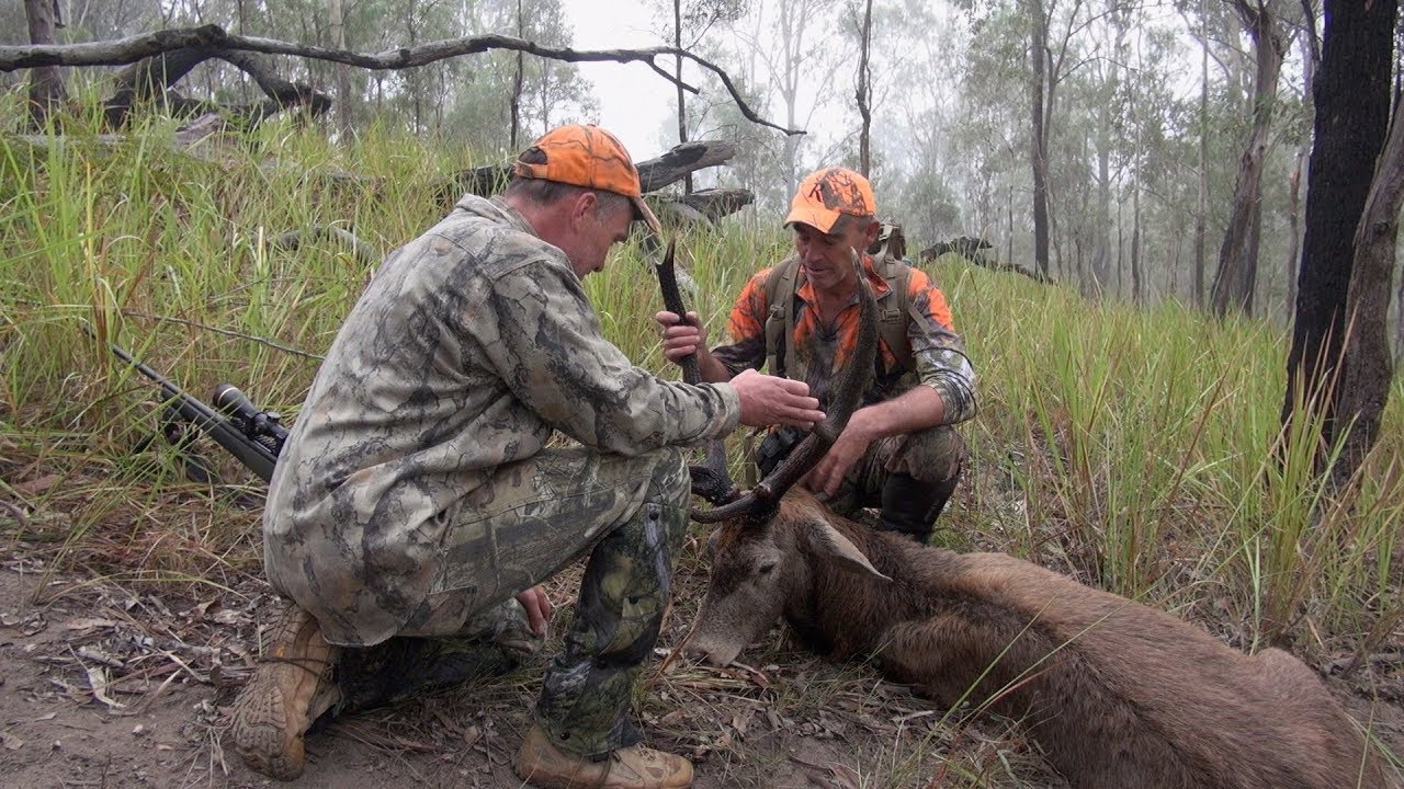 qdma store John Ross Red Hunters Tales