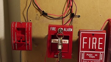 EST Genesis G1R-HV15 Test / Bonus!