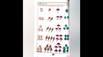 4th-EE-Maths-Module-5/Patterns/Answer key