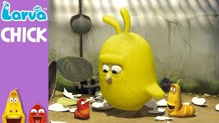  Chick - Mini Series from Animation LARVA