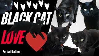 We Love Black Cats - #blackcatsrock by Furball Fables 272 views 8 months ago 1 minute, 42 seconds