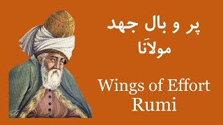 پر و بال امید، مولانا | Wings & Feathers of Hope (Rumi)