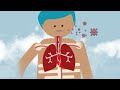 Düşündiriş wideo 1: Immun ulgamy