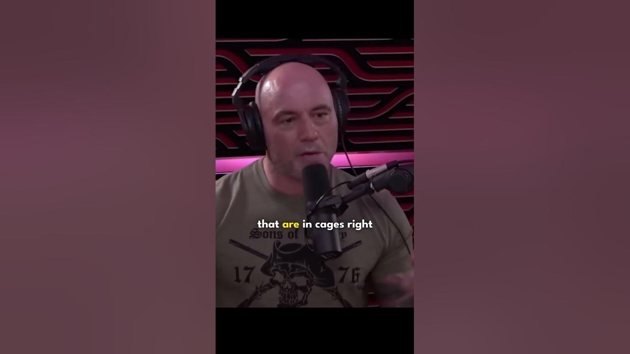 JOE ROGAN on the worst chimpanzee ATTACK ever!😱 #gangster #top #
