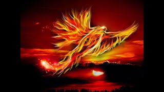 The Phoenix as a Spirit Guide: What it Means When You&#39;re Seeing The Phoenix Everywhere