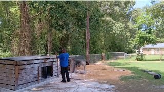 HOW I KEEP MY DOG AREA FRESH AND CLEAN. CLEANING VIDEO. #dog