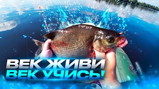 Век живи Век учись.Рыбалка на донки. Сamping ,fishing,bushcraft,