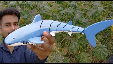 Amazing Robot Animals That Will Blow Your Mind