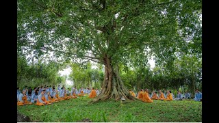 Kinh NIKAYA Giảng Giải -  Thoát Khỏi Tăm Tối ( Hắc Ám ,Tương Ưng Sự Thật )