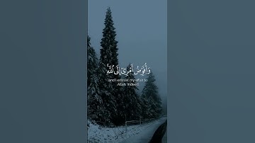 تلاوة من #القرآن_الكريم #عبدالباسط #المصحف #اكسبلور #المصحف #ببجي #العراق #ببجي_موبايل