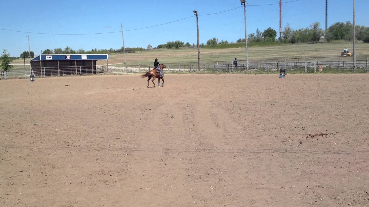 Registered AQHA finished barrel horse for SALE - YouTube