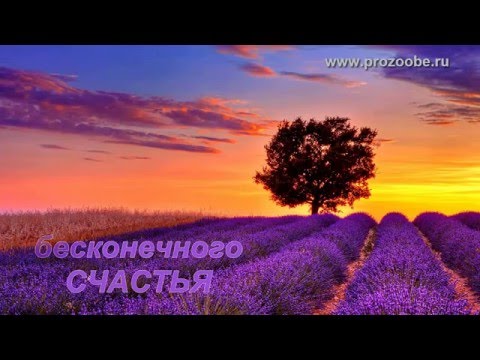 Поздравление девушке, женщине на день рождения ♥♥♥ Будь самой веселой и самой счастливой